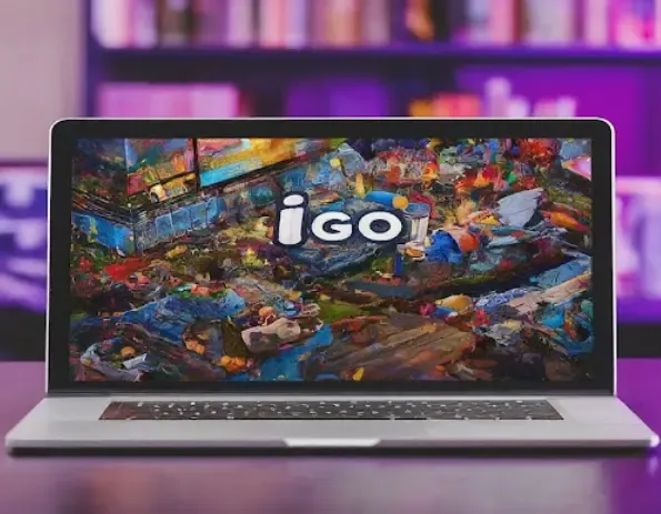 IGO Launchpad Development: Best Practices for Developers and Investors