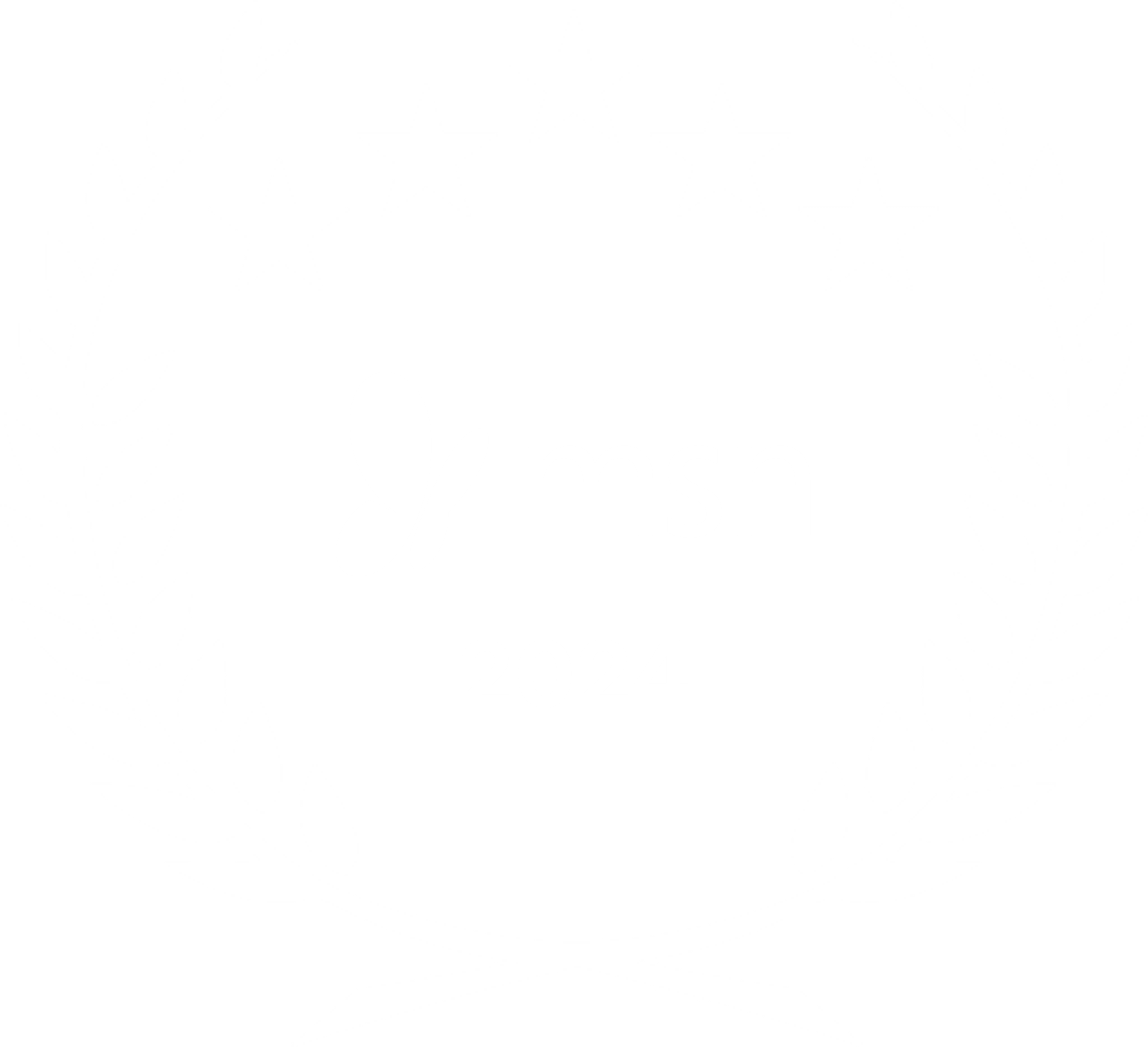 MSN 2024 award badge