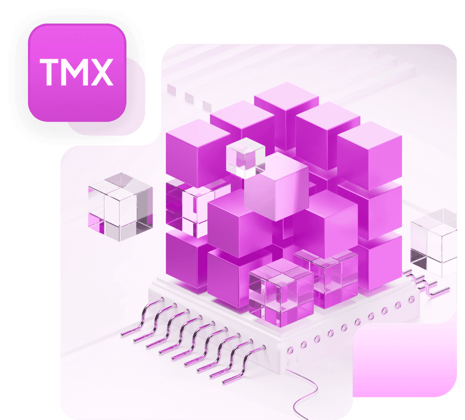 The TMX platform drawn as a block of magenta cubes on a circuit board
