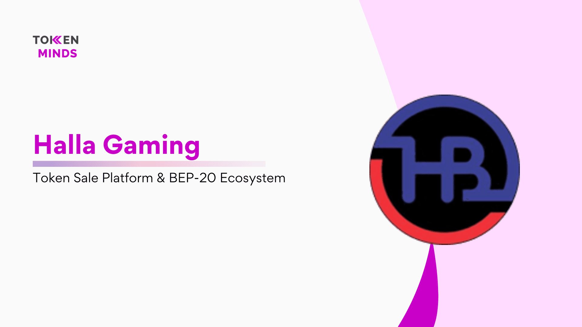 Halla Gaming case study cover