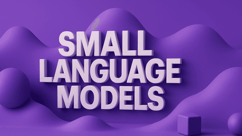 Small Language Models for Web3 Leaders