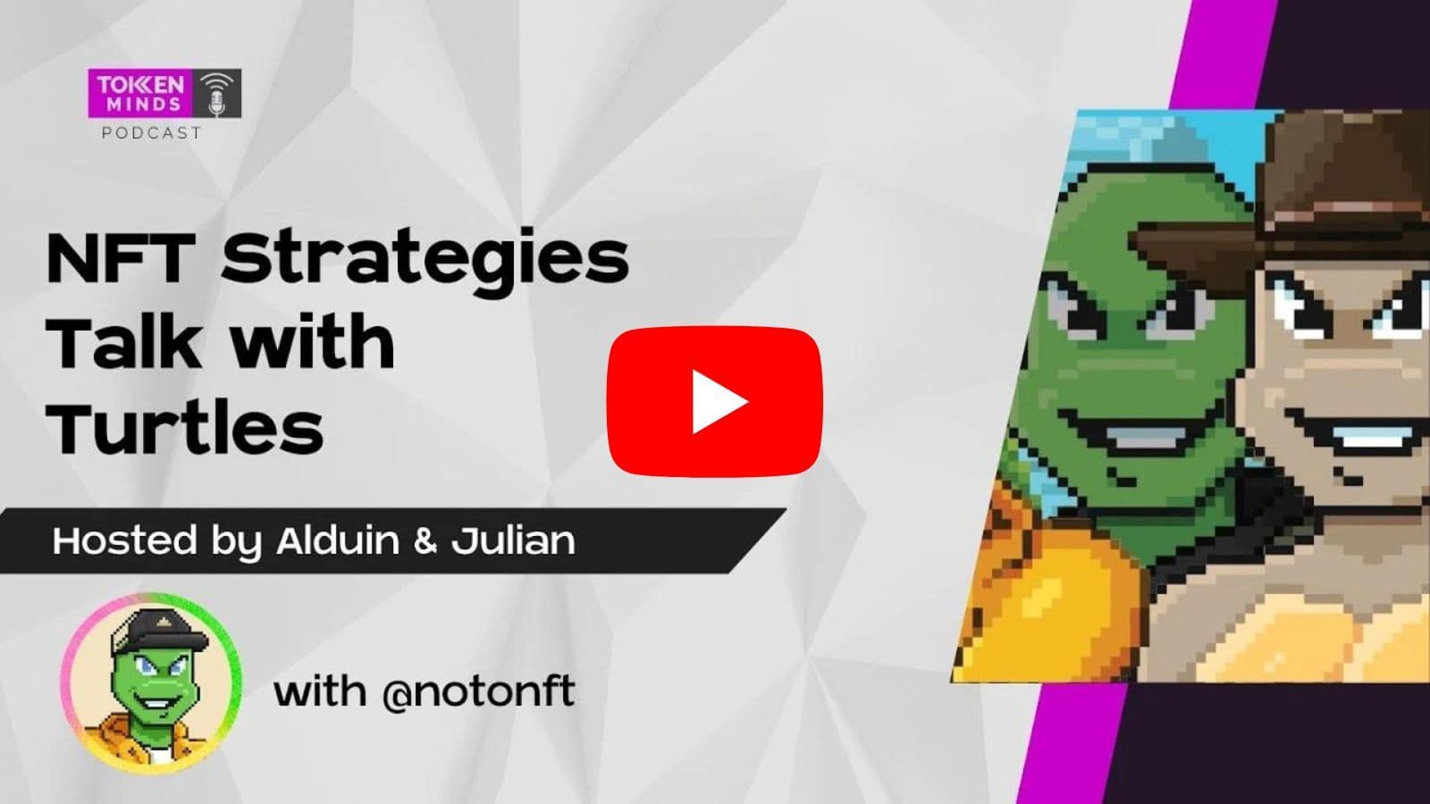 Turtles | Exclusive Insights & NFT Strategies In 2023