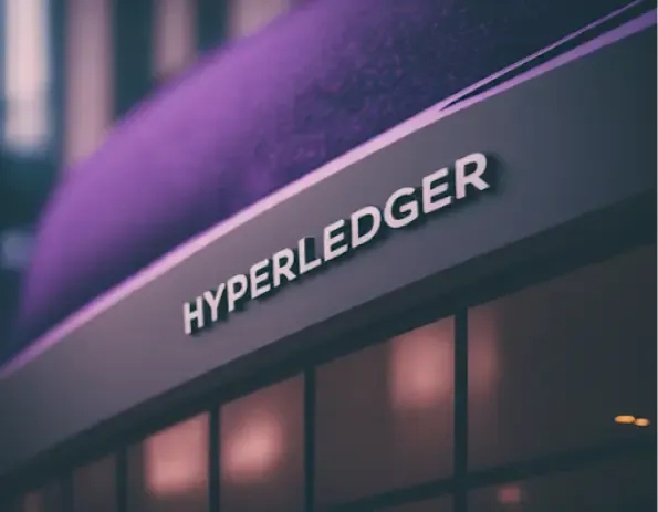 Best Hyperledger Development Companies 2026 (Compare Expertise & Pricing)