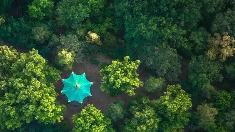 Startling comparison between Polygon and Solana development: 4 critical elements that bring out the differences