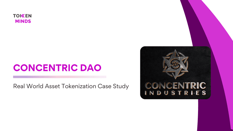 Case Study: Concentric DAO Real World Asset Tokenization