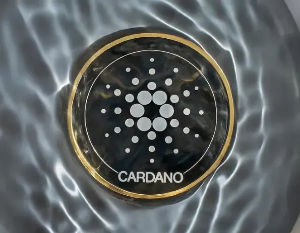 7 Best Cardano Staking Platforms 2026