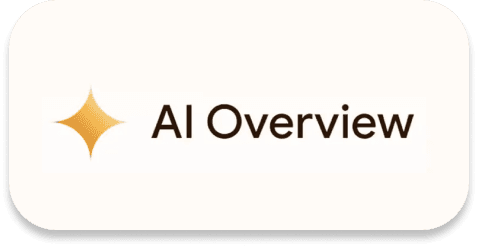 Google AI Overview